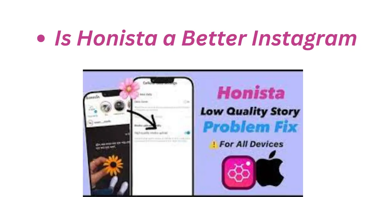 Is Honista a Better Instagram